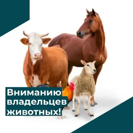 ИНФОРМАЦИЯ для КФХ и ЛПХ
